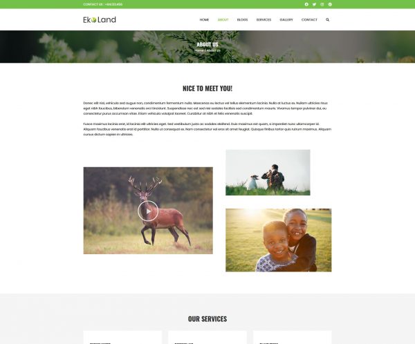 EcoPeace Template 2