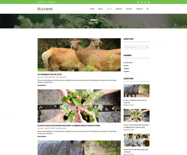 EcoPeace Template 3